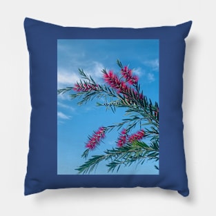 Bottlebrush Pillow