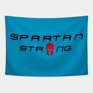 Spartan Strong Warrior 300 msu Helmet Tapestry