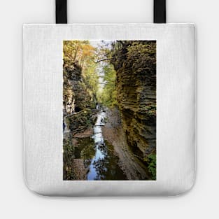 Watkins Glen Gorge, New York Tote