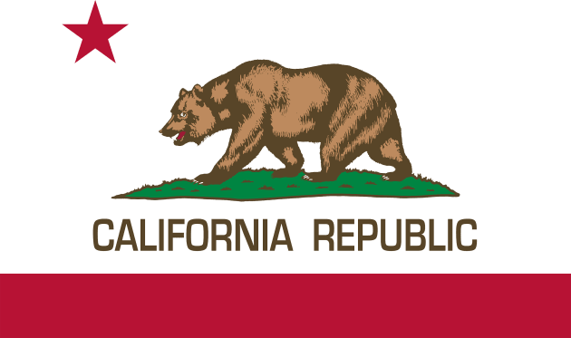California Republic Bear Kids T-Shirt by Sterling