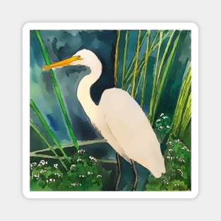 Everglades National Park, Great Egret Magnet