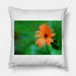 Spring showers Pillow