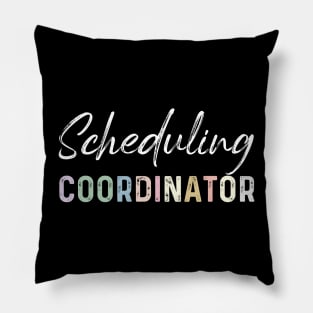 Funny Rainbow Appreciation Scheduling Coordinator Pillow