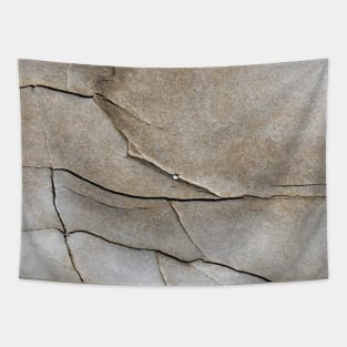 Cracked rock texture Tapestry