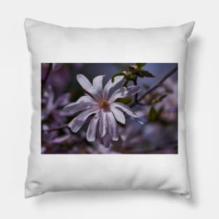 Magnolia flower closeup Pillow