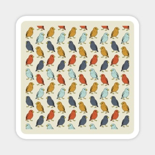 Colorful Bird Pattern Magnet