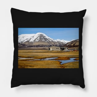 Splendid Isolation on Arctic Svalbard Pillow