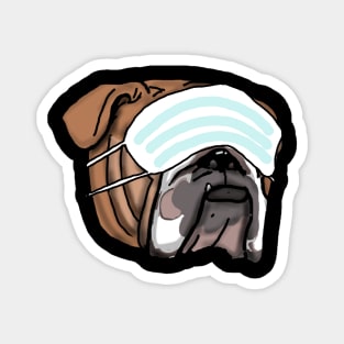 Babydog Magnet