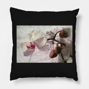 Orchid on 1909 Vintage Postcard Pillow