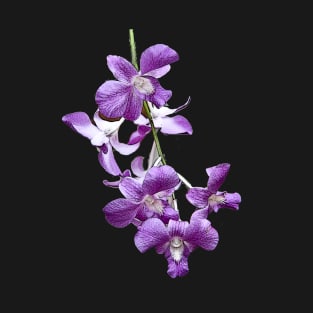 Orchids #2 T-Shirt