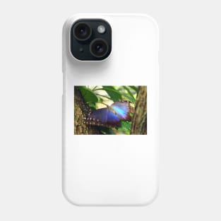 Purple and Blue Butterfly in Tree Phone Case