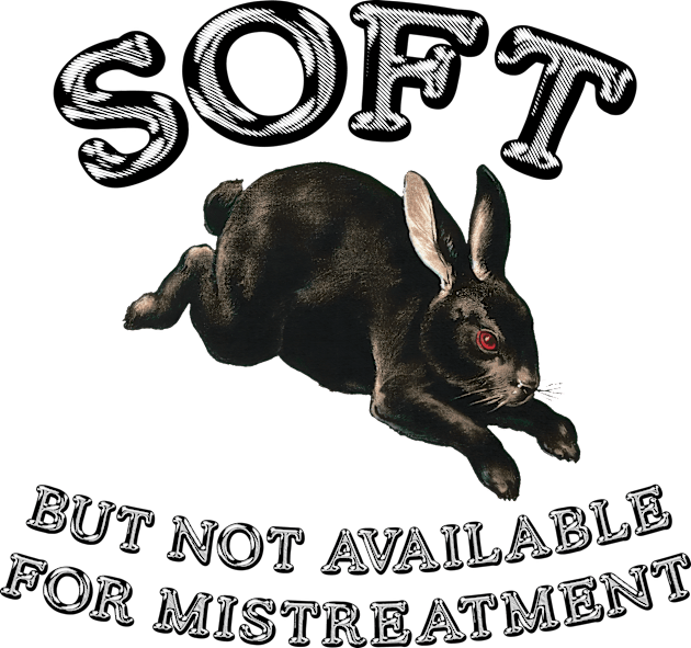 soft but not available for mistreatment black bunny Kids T-Shirt by Dystopianpalace