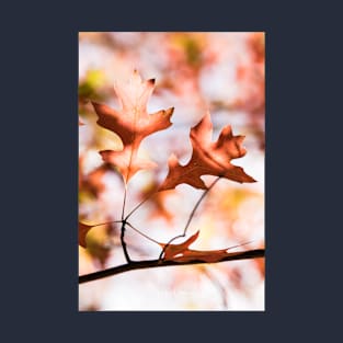 Autumn leaf from Honour Avenue, Mount Macedon, Victoria, Australia. T-Shirt