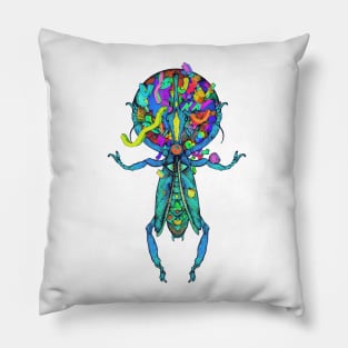 Spatial Beetle Multicolor Pillow