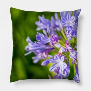 Bright Purple Flower Pillow