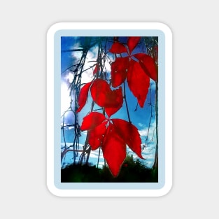 Red Leaves Magnet