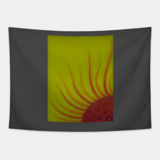 Sun NW Tapestry