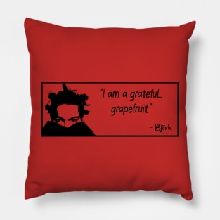 Bjork Pillow