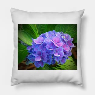 Bluish Purple Hydrangea Pillow