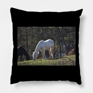 Wild Horse Pillow