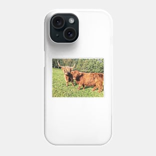 Scottish Highland Cattle Cow and Calf 2110 Phone Case