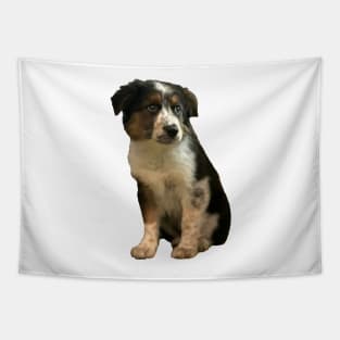 Australian Shepherd Puppy Tapestry