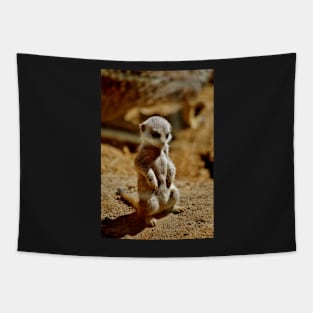 Meerkat Style Tapestry