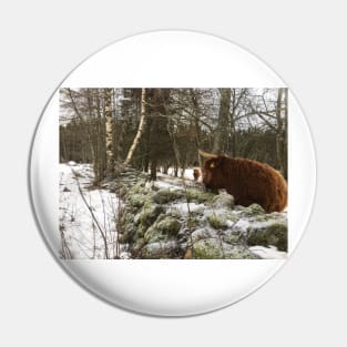 Scottish Highland Cattle Cow and Cat 2230 Pin