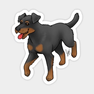 Dog - Jagdterrier - Broken Coat Magnet