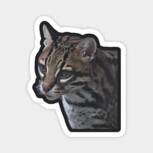 Ocelot Magnet