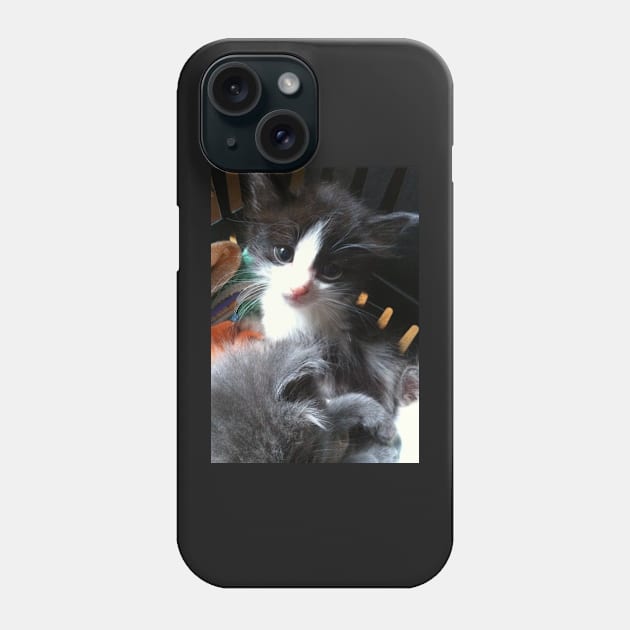 Cute Black and White Kitten Phone Case by 1Redbublppasswo