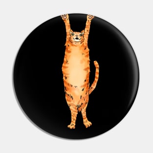 LONG orange cat Pin