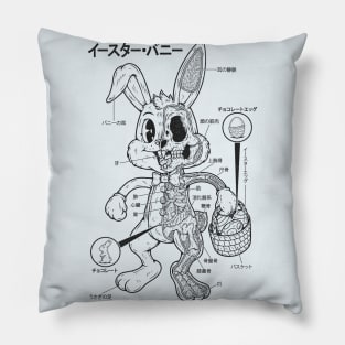 EASTER BUNNY ANATOMY - LINES Pillow