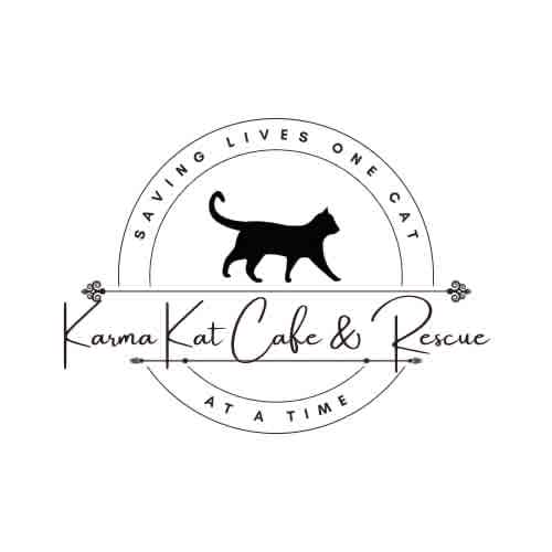 Karma Kat Cafe & Rescue profile image
