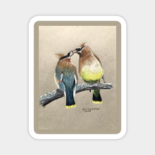 Cedar Waxwings Magnet