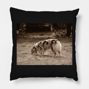 Dog show Pillow