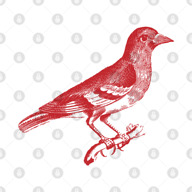 Red Bird Vintage Design Vintage Bird TShirt TeePublic