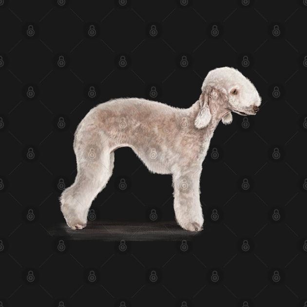 The Bedlington Terrier Dog by Elspeth Rose Design