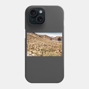 Apache Trail Scenic Drive View Phone Case