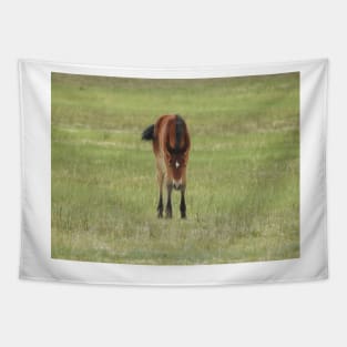 Wildlife gifts, wild horses, Eastern Sierra, California Tapestry