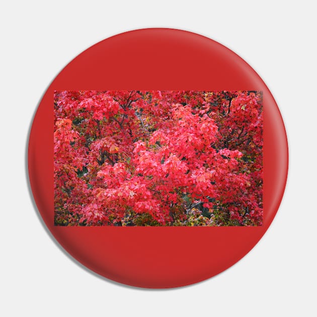 Red Maple Autumn Pin by Whisperingpeaks