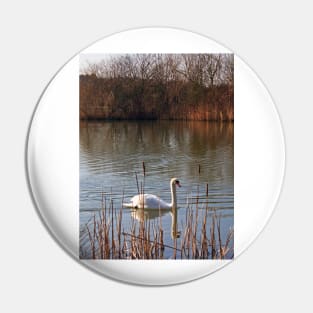 Swan on a Lake Pin