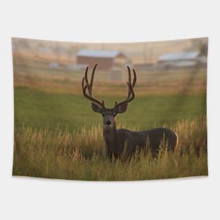 Morning Light Mule Buck Tapestry