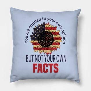 You are entitled to your own opinion not to your own facts. vp debate quote Pillow