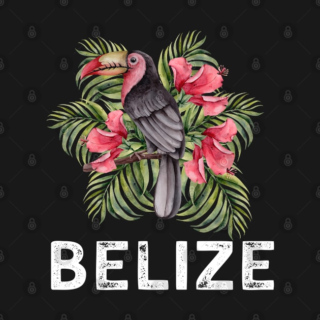 Belize Toucan / Belize by V-Edgy