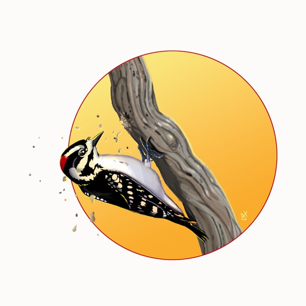 Downy Woodpecker Pecking Wood by John Himmelman