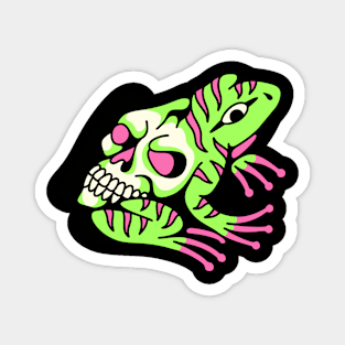 Frog skull Magnet