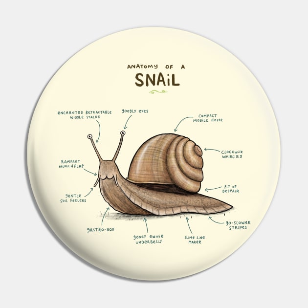 Anatomy of a Snail Pin by Sophie Corrigan