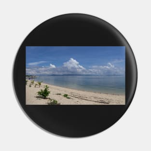 tropical beach view Pin