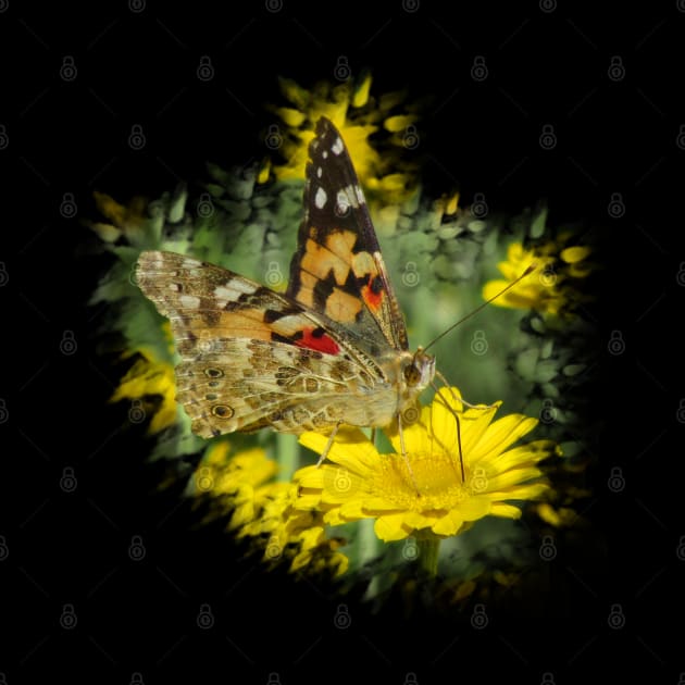 wonderful butterfly on a yellow flower by rh_naturestyles